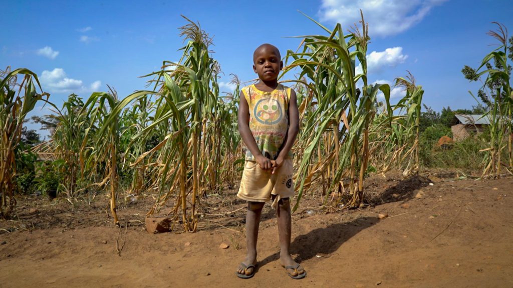 A patient’s young daughter in front of their cornfield